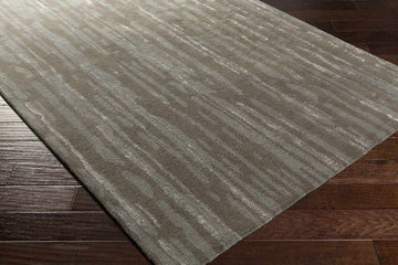 Statefra Modern Medium Gray Area Rug